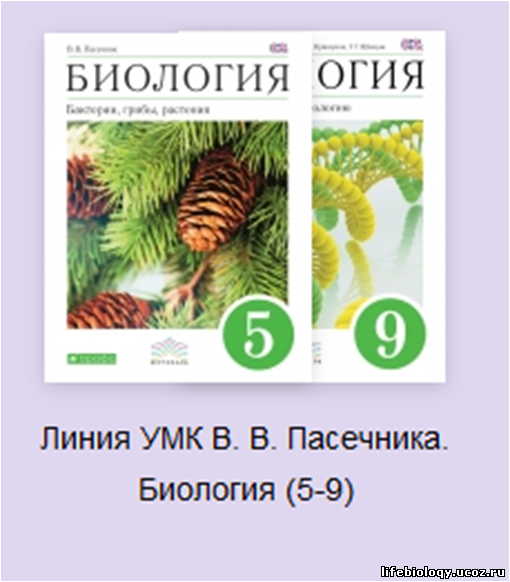 Умк биология пасечник. Биология с какого класса. С какого класса начинается биология. Биология с какого класса начинается в школе. Ботаника с какого класса начинается.